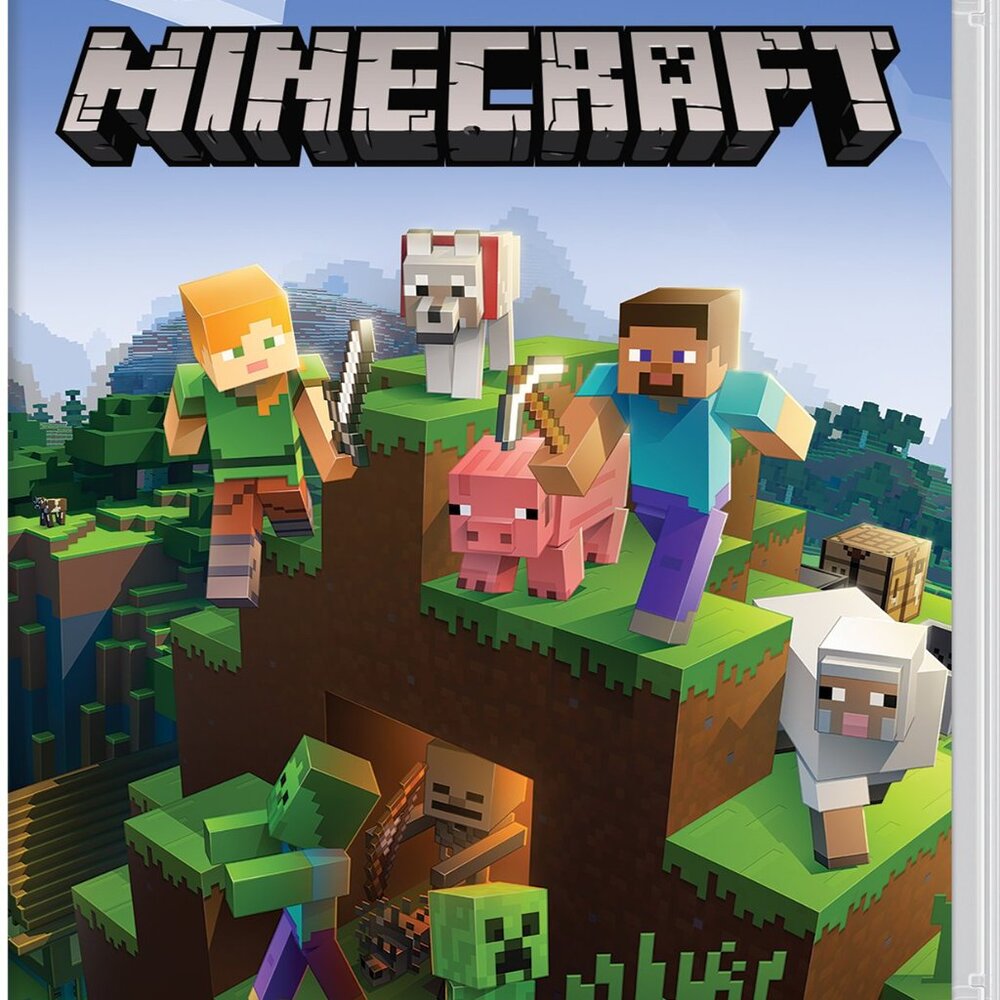 Minecraft - Nintendo Switch USED CASE AND GAME
